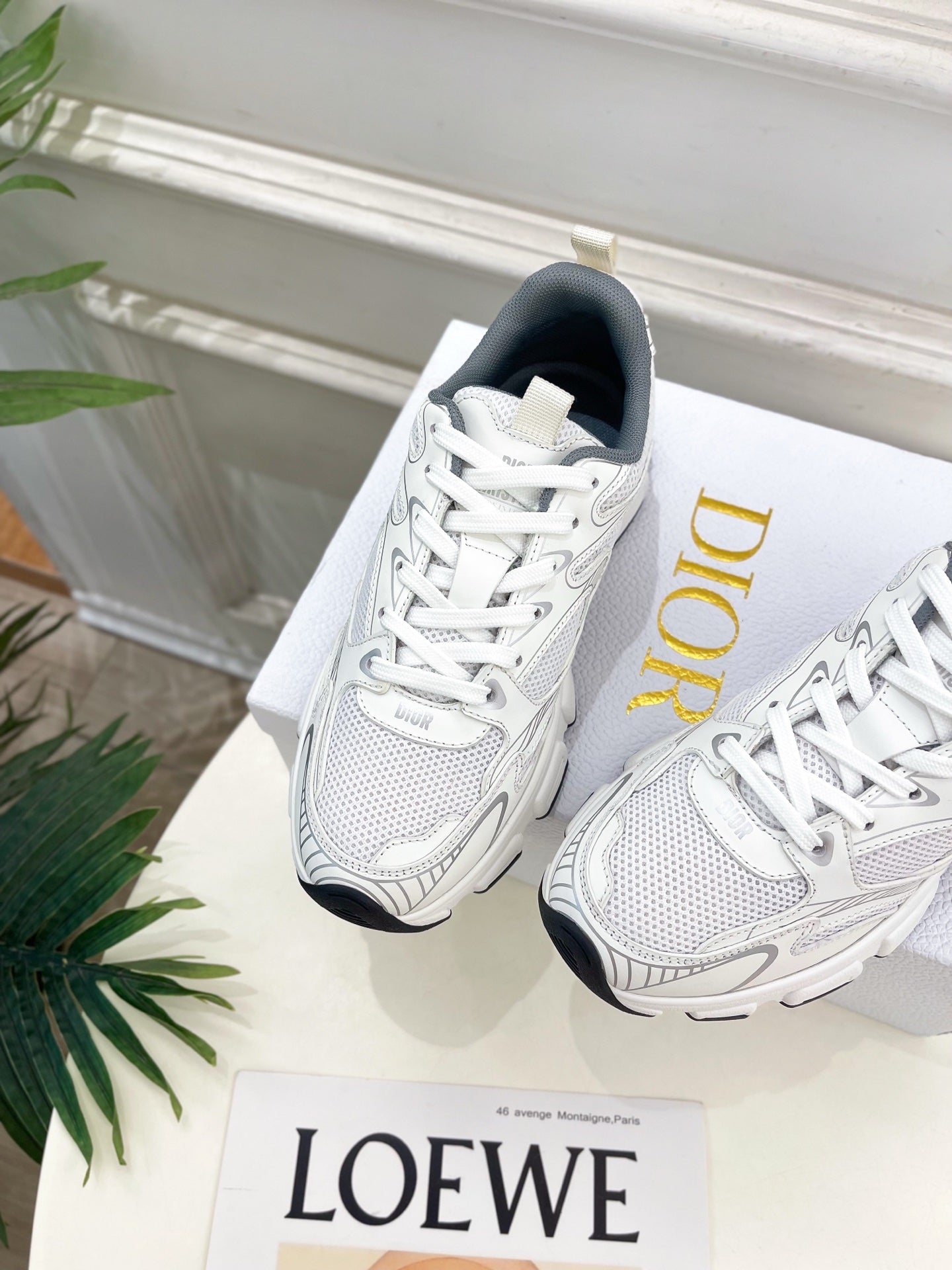 D-Sneakers