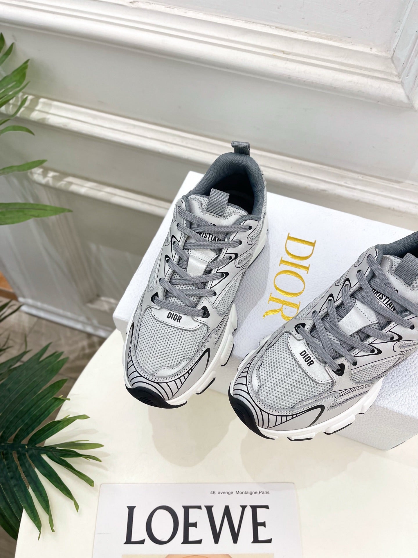 D-Sneakers